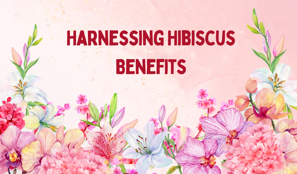 Harnessing Hibiscus Benefits